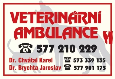 S-reklam 15